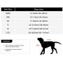 HOWGO Dog Harness,4 Point Adjustable Lightweight Waterproof&Odor-Proof Dog Harness with Leash Clip,No-Choke,Reflective with Storage Pocket for Training and Walking,Hunting(Yellow, Medium)