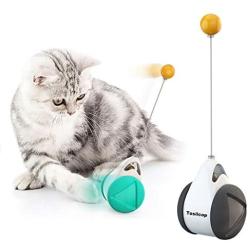 Interactive Cat Toys with Catnip Ball 2 Pack Pet Balance Swing car Balanced Cat Toy for Indoor Cats Rotating Rolling Balls for Cat/Kitten Pet Entertainment Hunting Exercise