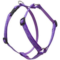 Lupine 3/4 Inch Jelly Roll Roman Dog Harness
