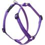 Lupine 3/4 Inch Jelly Roll Roman Dog Harness