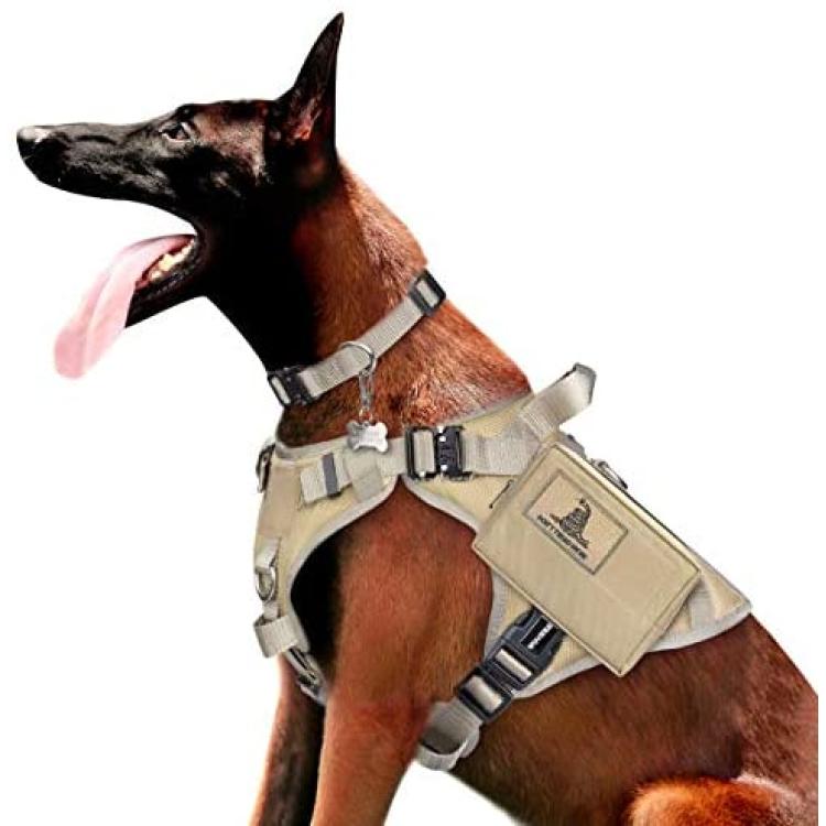 POLICE TRAINING DOG VEST HARNESS BACKPACK Side Bags label Patches for Large  Dogs