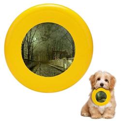 Pet Frisbee Flying Disc Dog Toy - Multifunction Silver Moonlight John Atkinson Grimshaw