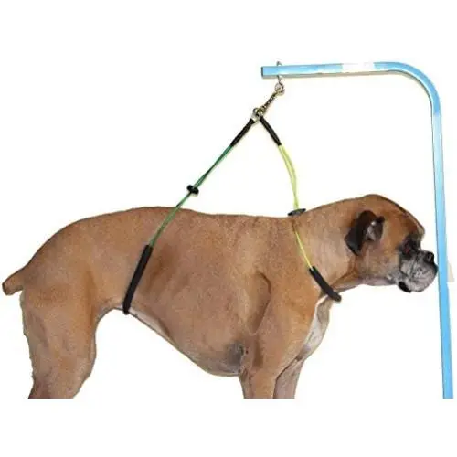 Dog Grooming Loop, 17.7in / 21.7in Dual No-Sit Haunch Holder Cat Grooming Stainless Steel Wire Safety Rope Restraint Noose for Pet Grooming Table Arm Bath Tub Dog Grooming Loop, 17.7in / 21.7in Dual No-Sit Haunch Holder Cat Grooming Stainless Steel Wire Safety Rope Restraint Noose for Pet Grooming Table Arm Bath Tub