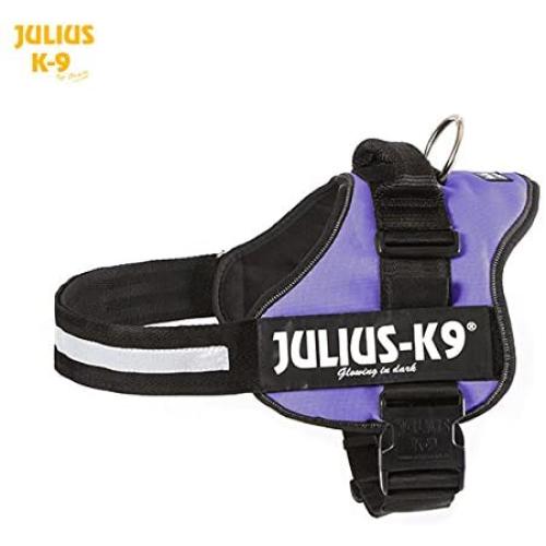 Julius-K9 Powerharness, 3, Purple