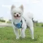 YIMEIS Dog Harness and Leash Set, No Pull Soft Mesh Pet Harness, Reflective Adjustable Puppy Vest for Small Dogs, Cats (XS, Blue)