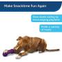 PetSafe Busy Buddy Chuckle Dog Toy
