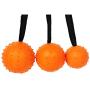 XIHONGSHIR Dog Toys Balls, Dog Toy Ball with Rope, Dog Tooth Cleaning Toy Ball, Environmental Soft Rubber Non Toxic, Interactive Dog Toys, Orange (2 Pack),Orange,7cm XIHONGSHIR Dog Toys Balls, Dog Toy Ball with Rope, Dog Tooth Cleaning Toy Ball, Environmental Soft Rubber Non Toxic, Interactive Dog Toys, Orange (2 Pack),Orange,7cm