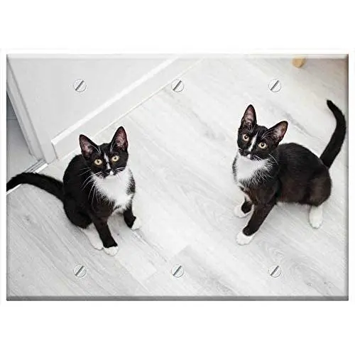 Triple Blank Wall Plate Cover - Cats Domestic Cat Cat Pets Sitting Cat Dachowce Triple Blank Wall Plate Cover - Cats Domestic Cat Cat Pets Sitting Cat Dachowce