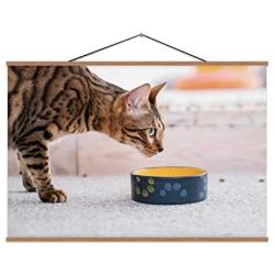 TinYida Healthy Pet Diet Quality Food Bowl Cat Dinner Ukraine,Canvas Posters Domestic Cat for Home Decoration 16X12In