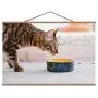 TinYida Healthy Pet Diet Quality Food Bowl Cat Dinner Ukraine,Canvas Posters Domestic Cat for Home Decoration 16X12In TinYida Healthy Pet Diet Quality Food Bowl Cat Dinner Ukraine,Canvas Posters Domestic Cat for Home Decoration 16X12In