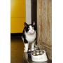 Designed by Lotte Melamine Feed Bowl, 14 cm, Grey