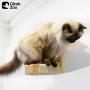 Climb Zoo Cat Scratching Post, (Set of 2) Horizontally Wall Mounted Cat Steps for Indoor Cats
