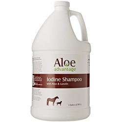 Aloe Advantage Aloe Iodine Shampoo