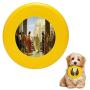 Pet Frisbee Flying Disc Dog Toy - Multifunction ECCE Homo Antonio Ciseri