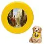 Pet Frisbee Flying Disc Dog Toy - Multifunction ECCE Homo Antonio Ciseri