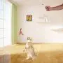 Fabater Firm Convenient Eco-Friendly Portable Durable Cat Play Toy, Play and Scratch Cat Toy, Entertainment for Kitten Work Out Cat
