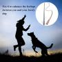 SYOOY Interactive Dog Toy Extendable Teaser Wand Pet Teasing Flirt Pole Fun Toy with 3 Chewing Cotton Rope Tail for Outdoor Obedience Chasing Pulling Training Exercising