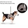 Anbeer Soft Mesh Dog Harness Puppy Adjustable Pet Vest with Walking Leash for Small Dog Breeds and Cats Anbeer Soft Mesh Dog Harness Puppy Adjustable Pet Vest with Walking Leash for Small Dog Breeds and Cats