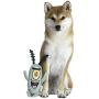 Nickelodeon Spongebob Squarepants Patrick Figure Plush Dog Toy Nickelodeon Spongebob Squarepants Patrick Figure Plush Dog Toy
