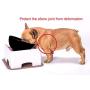 YMAXGO Elevated Tilted Dog Bowls Set with Adjustment Bracket,Ceramics Single Food Feeding Dish for Flat Face Dogs, Double Non-Slip Design