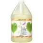 Kelco 50:1 Dr Hypo Shampoo Gallon