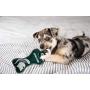 Pets First NCAA Michigan State Spartans Dental Dog TUG Toy with Squeaker. Tough PET Toy for Healthy Fun, Teething & Cleaning Pets Teeth & Gum. (MS-3310)