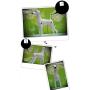 Dog Model, Dog Mannequin + Dog Wig for Scissoring Practice for Dog Groomers