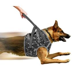 Heywean No Pull Dog Harness for Outdoor Walking Adjustable Pet Vest Harness with Easy Control Handle Prevent Dogs from Bursting (L, Grey)