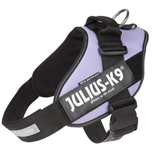 Julius-K9, 16IDC-PR-2, IDC Powerharness, dog harness, Size: 2, Purple