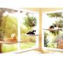 PETPAWJOY Cat Bed, Cat Window Perch Window Seat Suction Cups Space Saving Cat Hammock Pet Resting Seat Safety Cat Shelves - Providing All Around 360° Sunbath for Cats Weightedup to 30lb