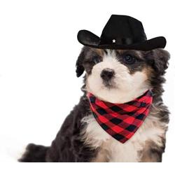 WODISON Cool Pet Dog Cat Cowboy Costume Hat and Bandana Scarf Set of 2