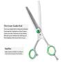 PURPLEBIRD 7 Inch Straight, Downward Curved Dog Grooming Scissors Professional Pet Cutting, Thinning Texturizing, Chunker Shears Safety Trimming Shearing for Dogs Cats Japanese Stainless Steel Silver