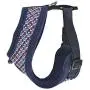 CATSPIA Darke A Harness CATSPIA Darke A Harness