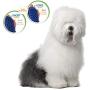 Four Paws Magic Coat Curry Brush for Dogs
