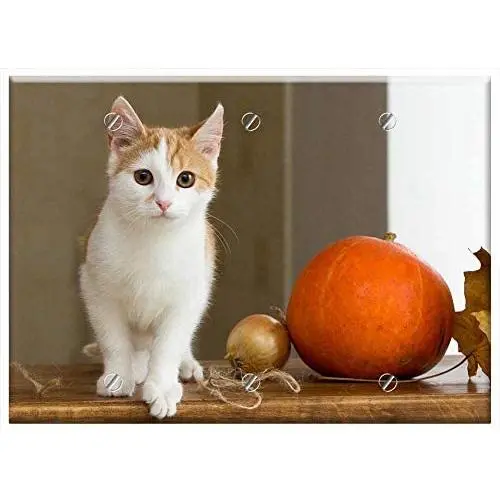 Triple Blank Wall Plate Cover - Cat Redhead Pet Red-Headed Cat Housecat Kitten Triple Blank Wall Plate Cover - Cat Redhead Pet Red-Headed Cat Housecat Kitten