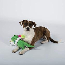 Fringe Studio Dog Toy, Summa Time Rex-Plush Pet Toy (289363)