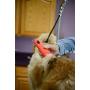 Wahl Professional Animal Stainless Steel Attachment Guide Comb Set for Detachable Blade Pet, Dog, Cat, and Horse Clippers (#3390-100)