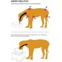 X@HE Tall Ceramic Dog Bowls Elevated, Adjustable Raised Dog Bowls Set, Standing Pet Feeding Dishes for Medium Large Breeds,White