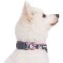 Blueberry Pet 10+ Patterns Soft & Comfy Flower Print Neoprene Padded Dog Collars