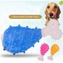 CHZHENG Dog Toothbrush, Chicken Leg Molars Pet Care Tooth Cleaning Toothbrush, Food Grade Dogs Toy for Small/Medium/Large Dogs