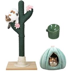 PetnPurr Handmade Cactus Cat Scratching Post, Cactus Pet House and Ceramic Pet Raised Bowl