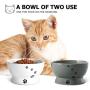 Y YHY Cat Water Bowl,Raised Cat Food Dish,Elevated Cat Bowl No Spill,Ceramic Pet Bowls for Cats or Small Dogs,Dishwasher Safe