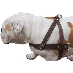Brown Leather Dog Pulling Walking Harness Large. 31''-35'' Chest, 1.5'' Wide Straps