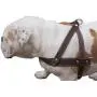 Brown Leather Dog Pulling Walking Harness Large. 31''-35'' Chest, 1.5'' Wide Straps Brown Leather Dog Pulling Walking Harness Large. 31''-35'' Chest, 1.5'' Wide Straps