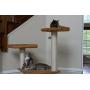 Armarkat 64 in Cat Tree House Condo Furniture - A6402, Chocolate