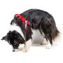 Julius-K9 IDC Innova Dog Comfort Red Belt Harness