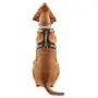 Reddy Black Dog Harness, XX-Large/3X-Large Reddy Black Dog Harness, XX-Large/3X-Large