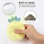 NIBLU 8pcs Cat Toys for Indoor Cat Interactive Cat Toy with Catnip Stuffed Marine Life Toy Set Plush Pet Toys for Chewing, Hunting, Teething