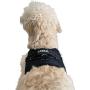 Labra Dog Canine K9 Chest Halter Harness for use Canine Knee Brace