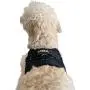 Labra Dog Canine K9 Chest Halter Harness for use Canine Knee Brace
